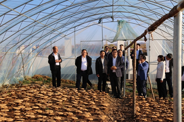 1698219635562030264.jpg 834597cec520879620a8337660a1164.jpg