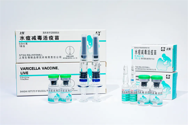 1724814041869040342.png 1.png