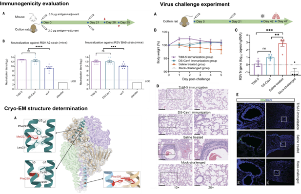 1727419188613056781.png 4.png