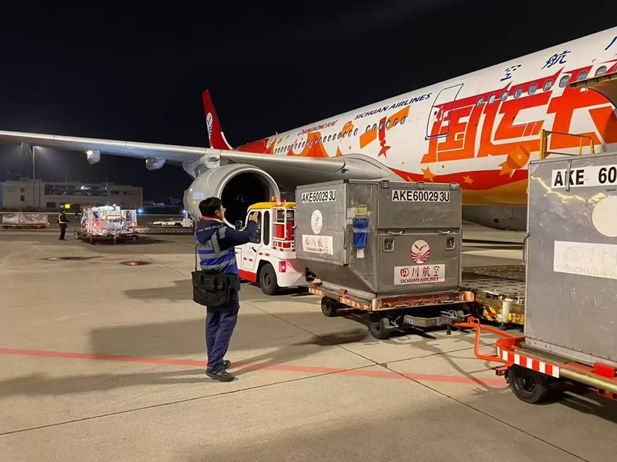 1736386143186038176.jpg 3_副本.jpg