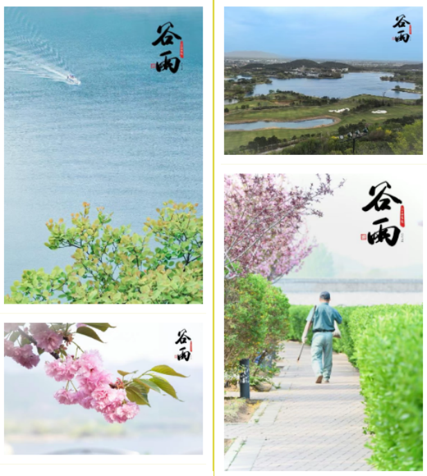 1745398720773050021.png 5.png