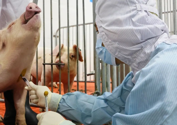 1754461180793083718.jpg 2.jpg