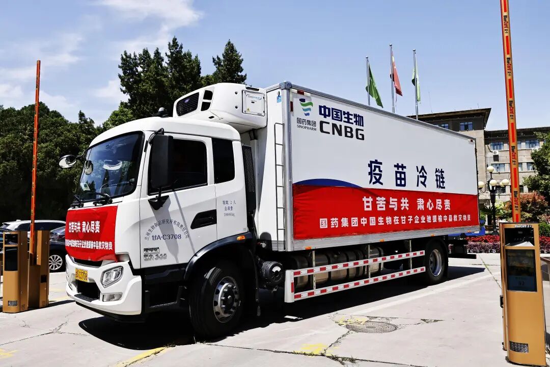 1770969115600025199.jpg 2.jpg