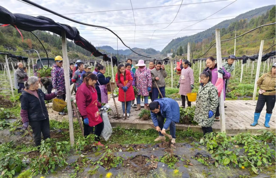 1776075868126034326.png 1.png